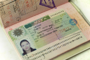 Виза D - национальная виза, позволяющая работать, учится и заниматься любой деятельностью в рамках закона .