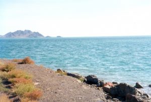 Пляжный отдых на Каспийском море. Цены, отзывы, советы.