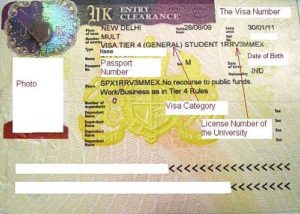 Студенческая виза с разрешением на работу (до 20 часов в неделю)