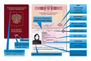 Биометрический паспорт в России.