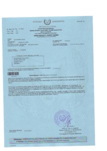 Образец разрешения на работу на Кипре (work permit)