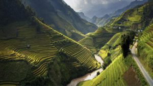 Вьетнамские рисовые террасы