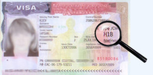 Рабочая виза в США H1B