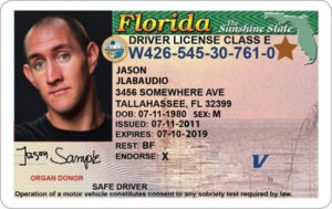 Водительское удостоверение штата Флорида (образец)