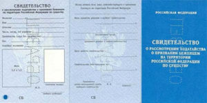 Свидетельство о рассмотрении ходатайства о признании беженцем на территории РФ (образец)