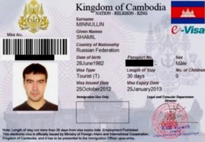 E-visa (онлайн виза).