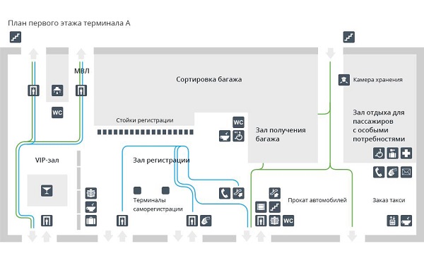 Толмачево схема терминалов