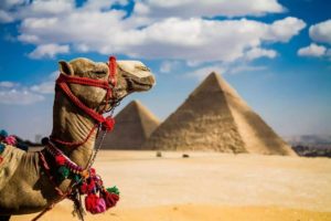Когда лучше ехать в Египет и как отдыхать в разное время года?