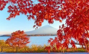 осень в Японии