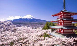 Отдых в Японии летом и зимой — отзывы туристов, цены, курорты, пляжи