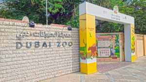 Зоопарк Дубая